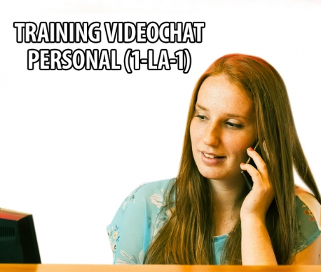 Remote training - 1 lesson Remote training - 1 lesson